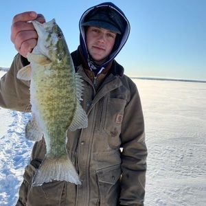 Meet your Posher, Chase